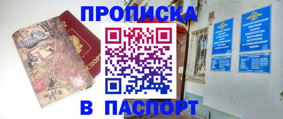 пропишу в квартире в Снежногорске